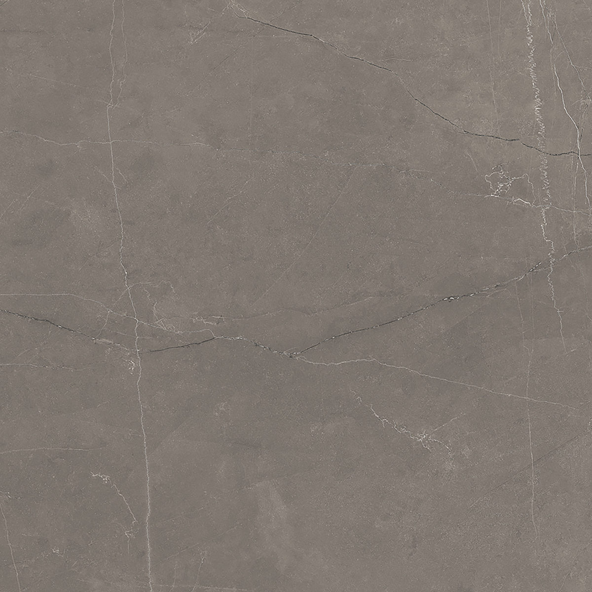 Grey Polished Tile
