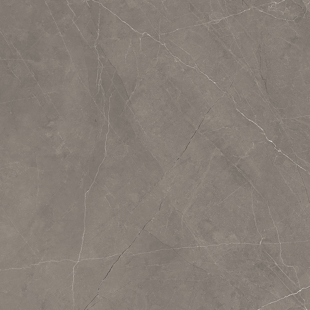 Grey Polished Tile