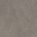 Grey Polished Tile