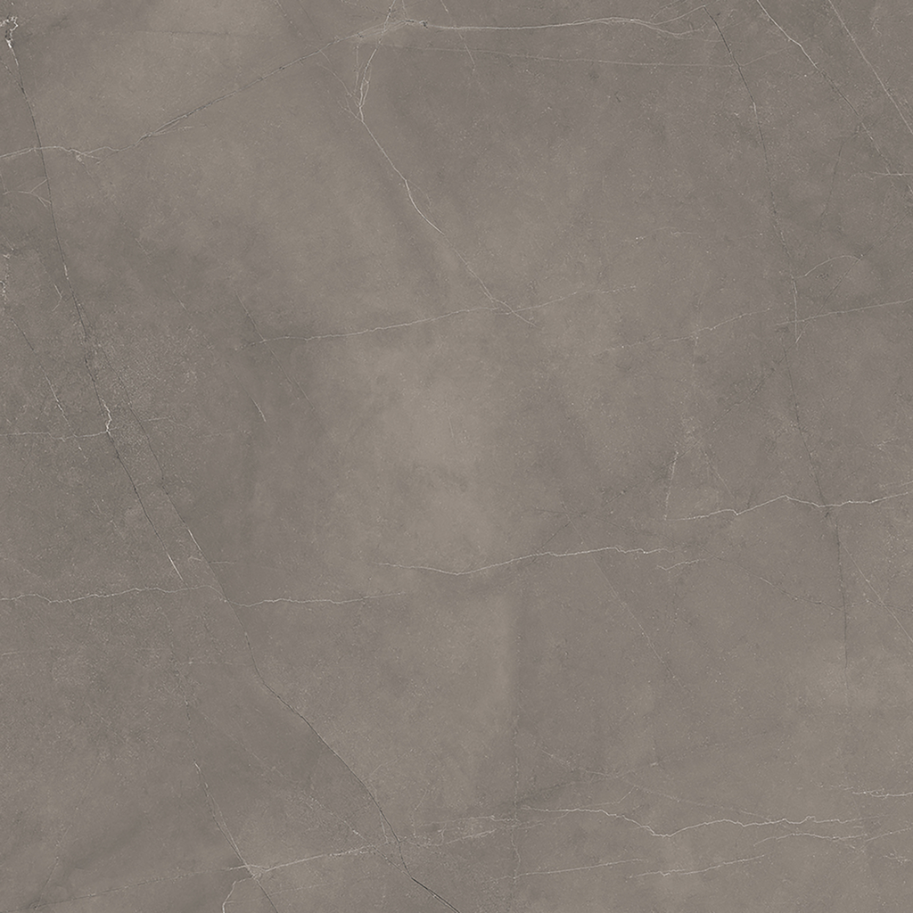Grey Polished Tile