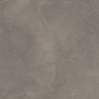 Grey Polished Tile