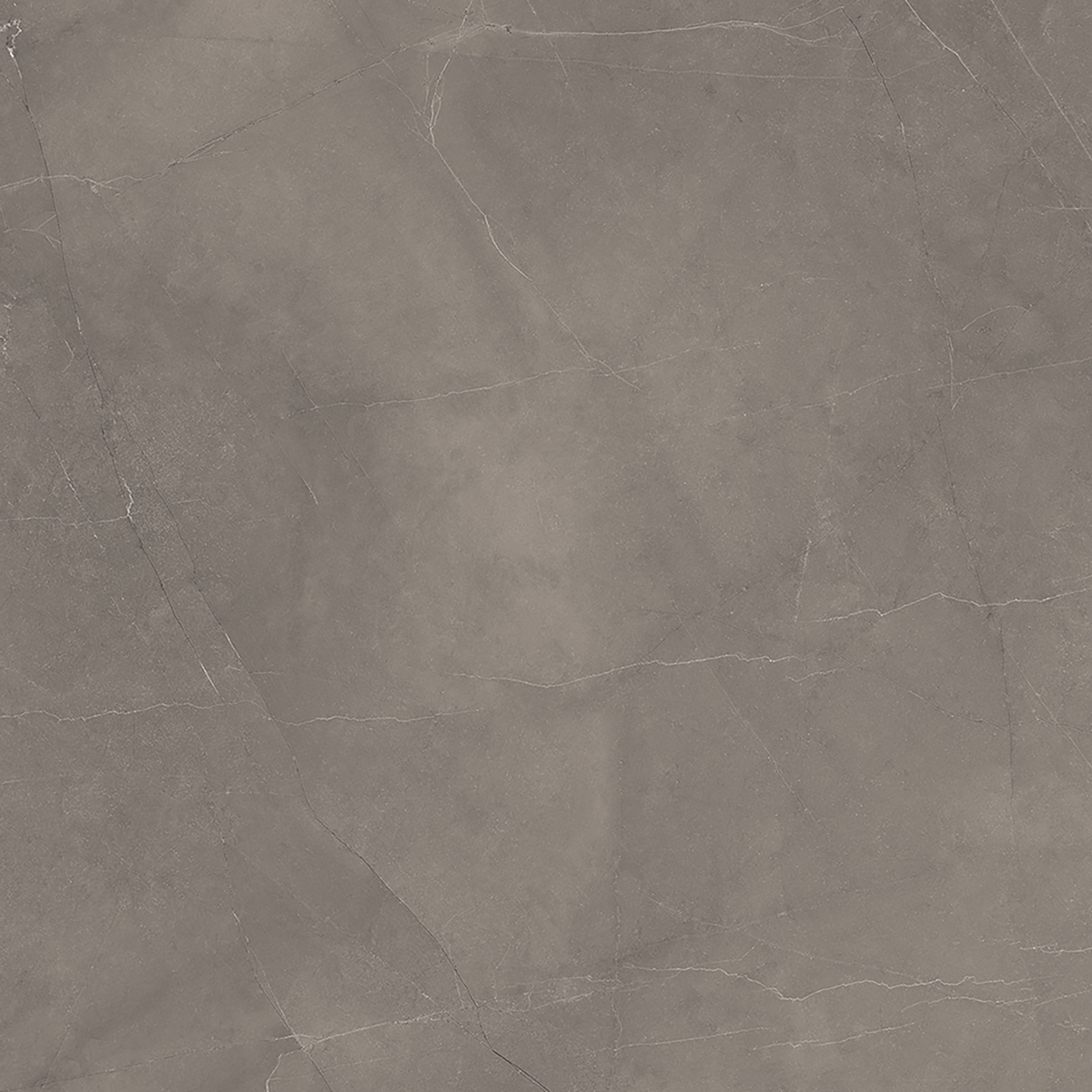 Grey Polished Tile
