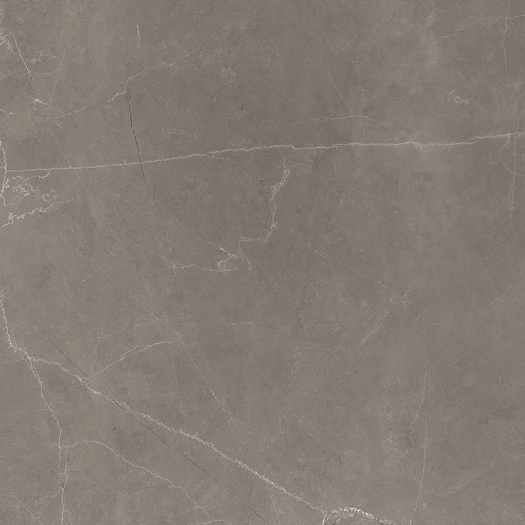 Grey Polished Tile