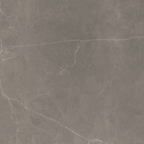 Grey Polished Tile