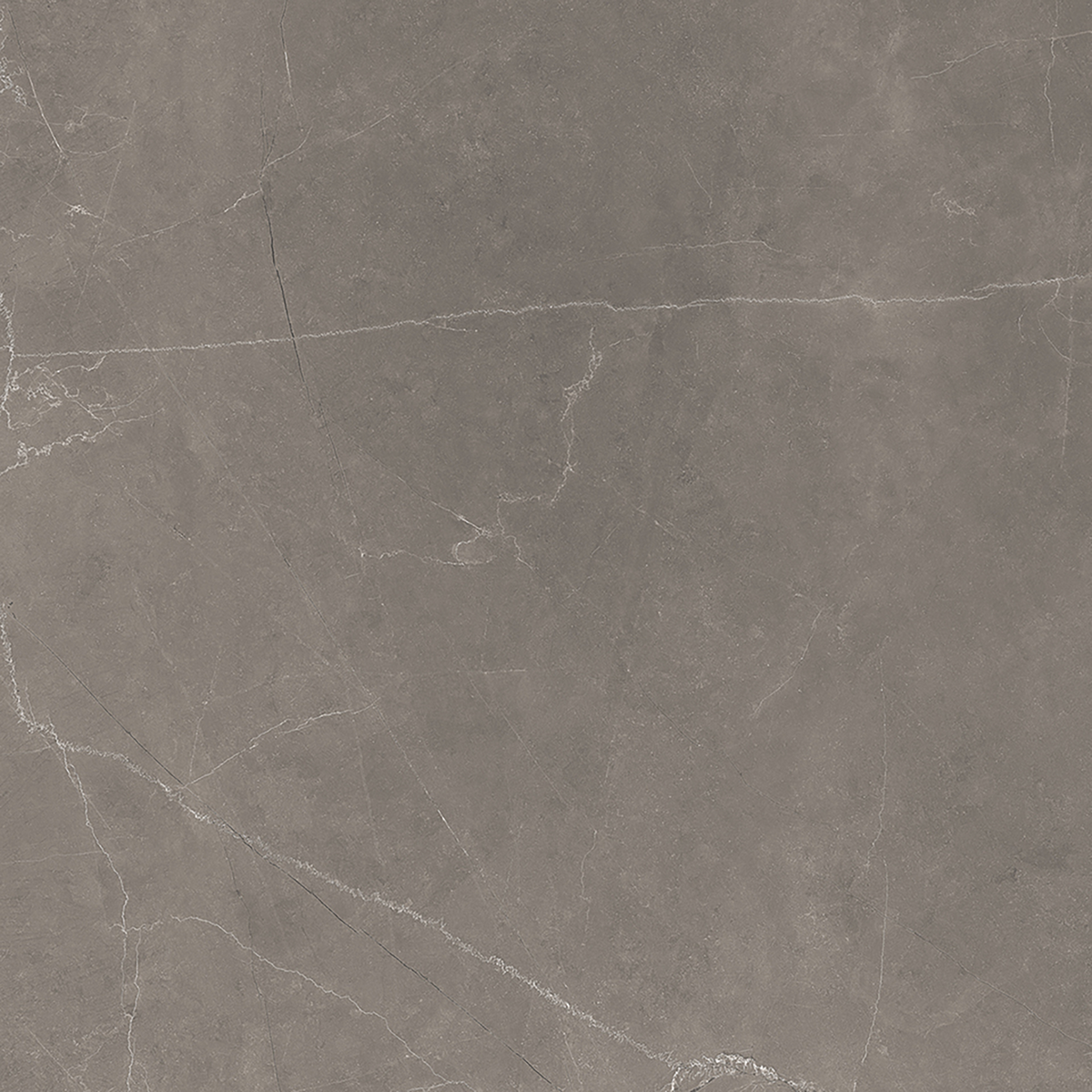 Grey Polished Tile