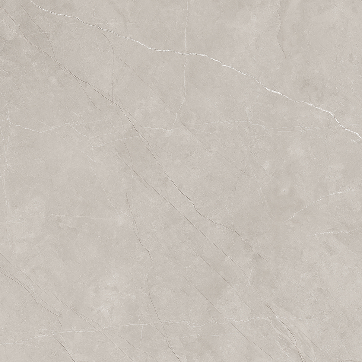 Silver Polished Tile Sample