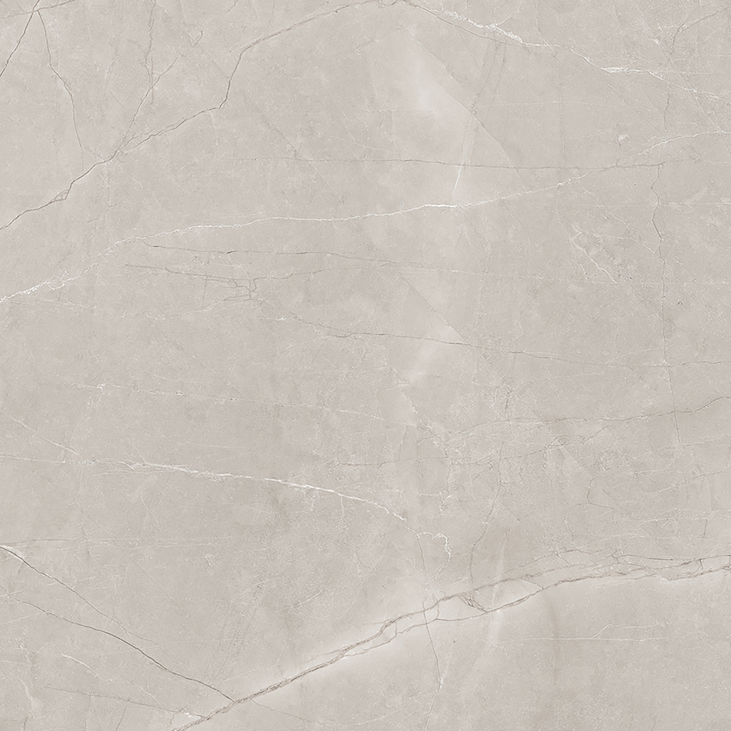 Silver Polished Tile