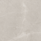 Silver Polished Tile
