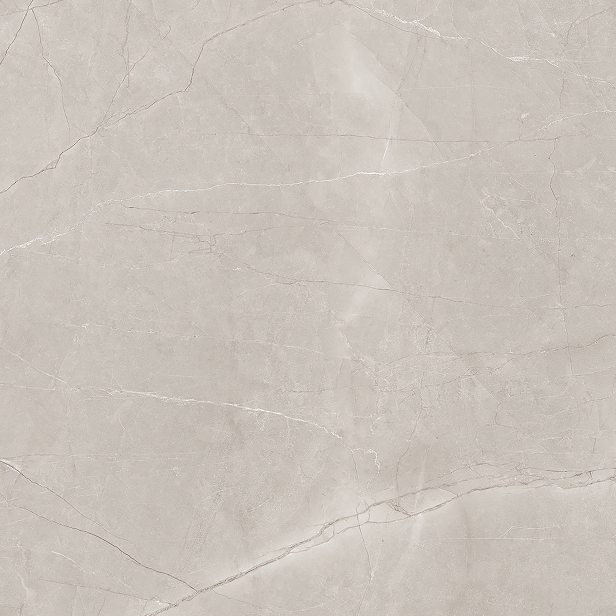 Silver Polished Tile