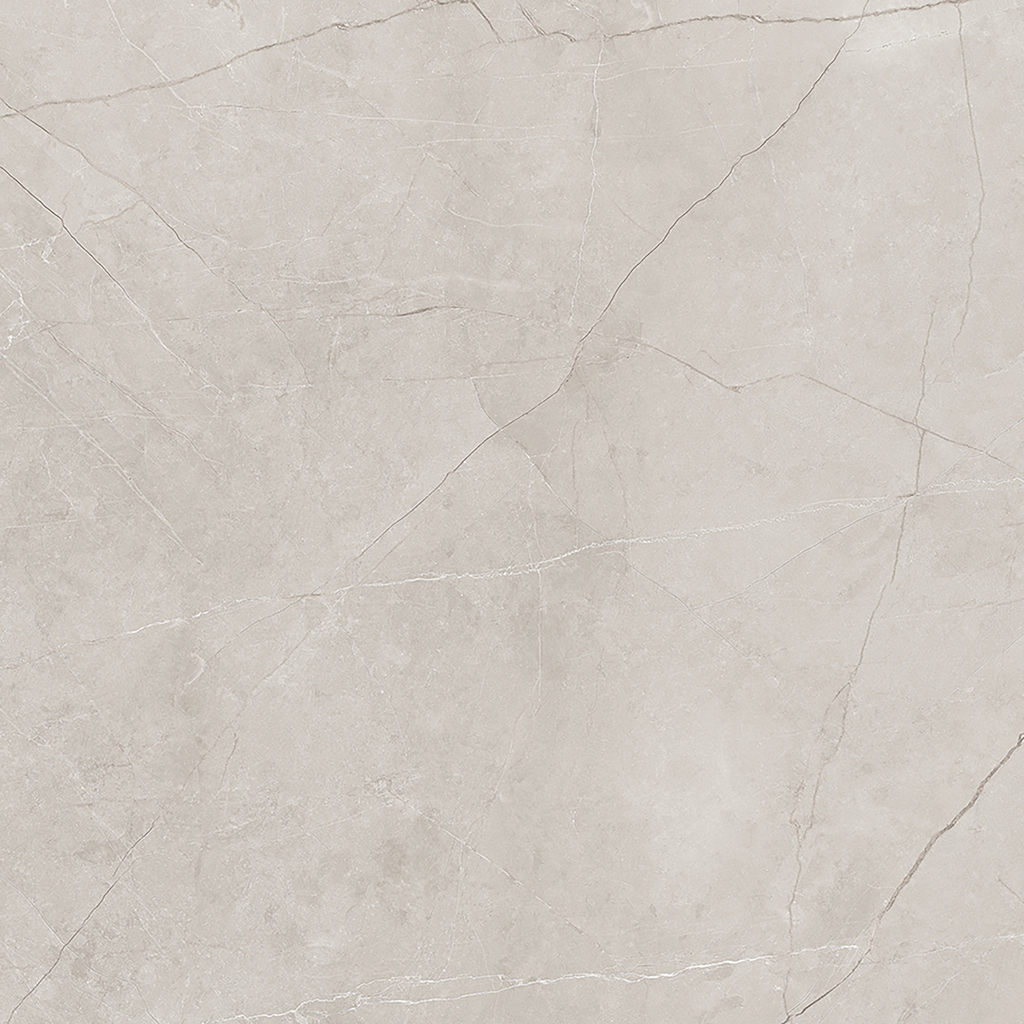 Silver Polished Tile