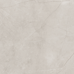 Silver Polished Tile