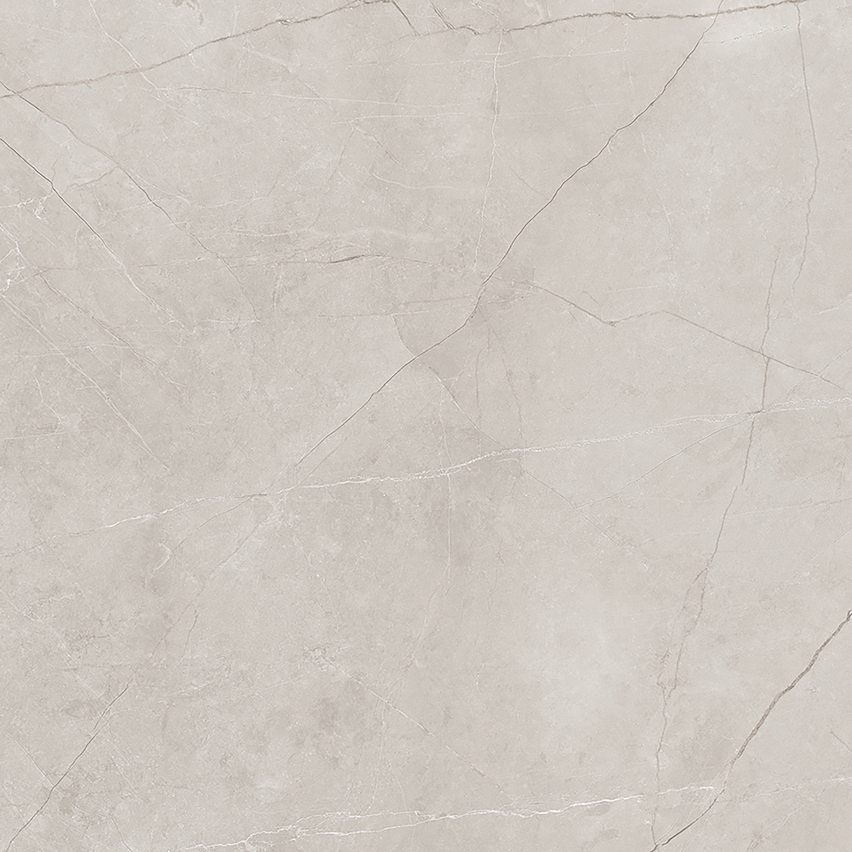 Silver Polished Tile