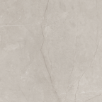 Silver Polished Tile