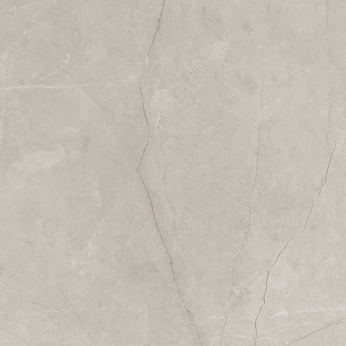 Silver Polished Tile