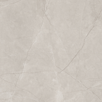 Silver Polished Tile