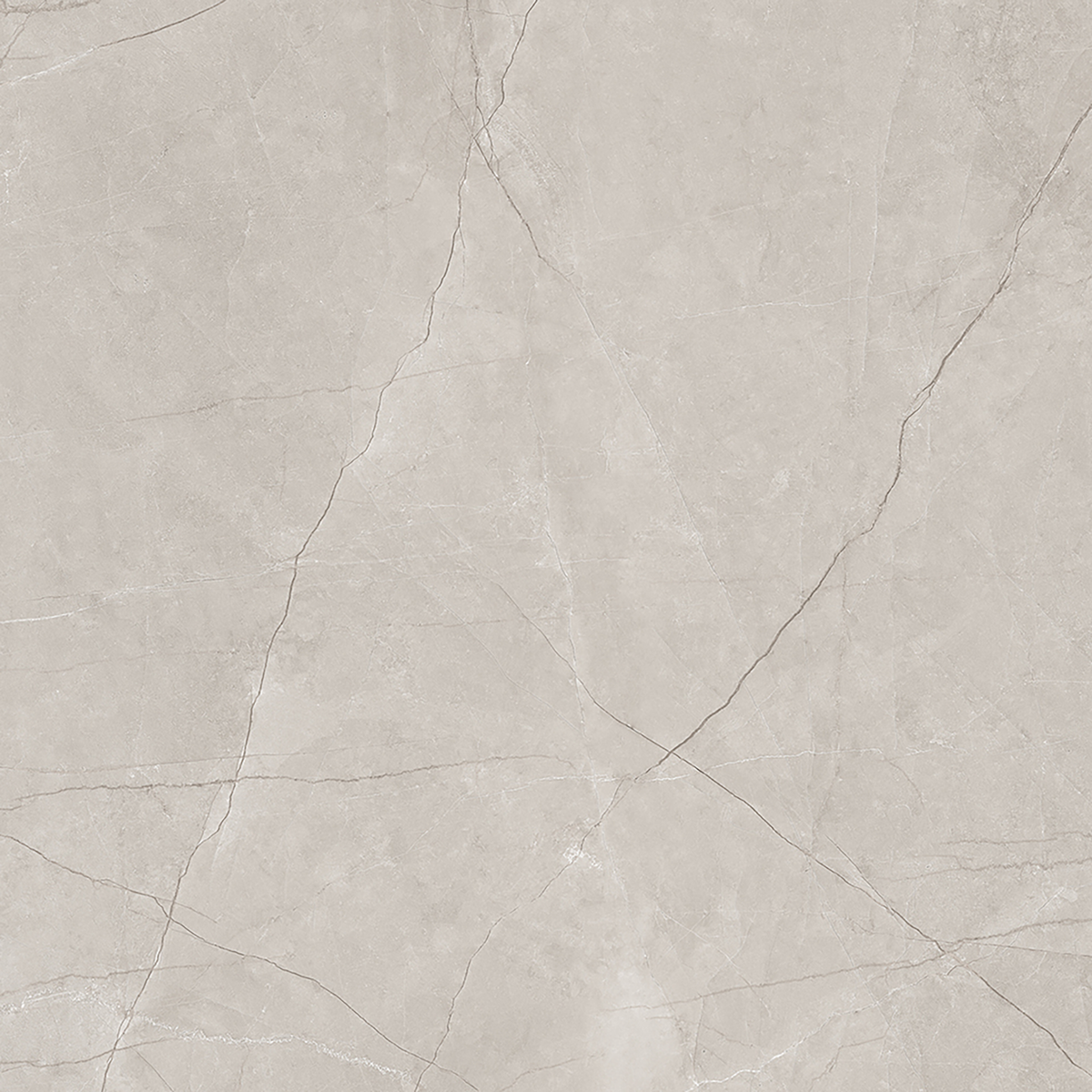 Silver Polished Tile