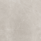 Silver Polished Tile