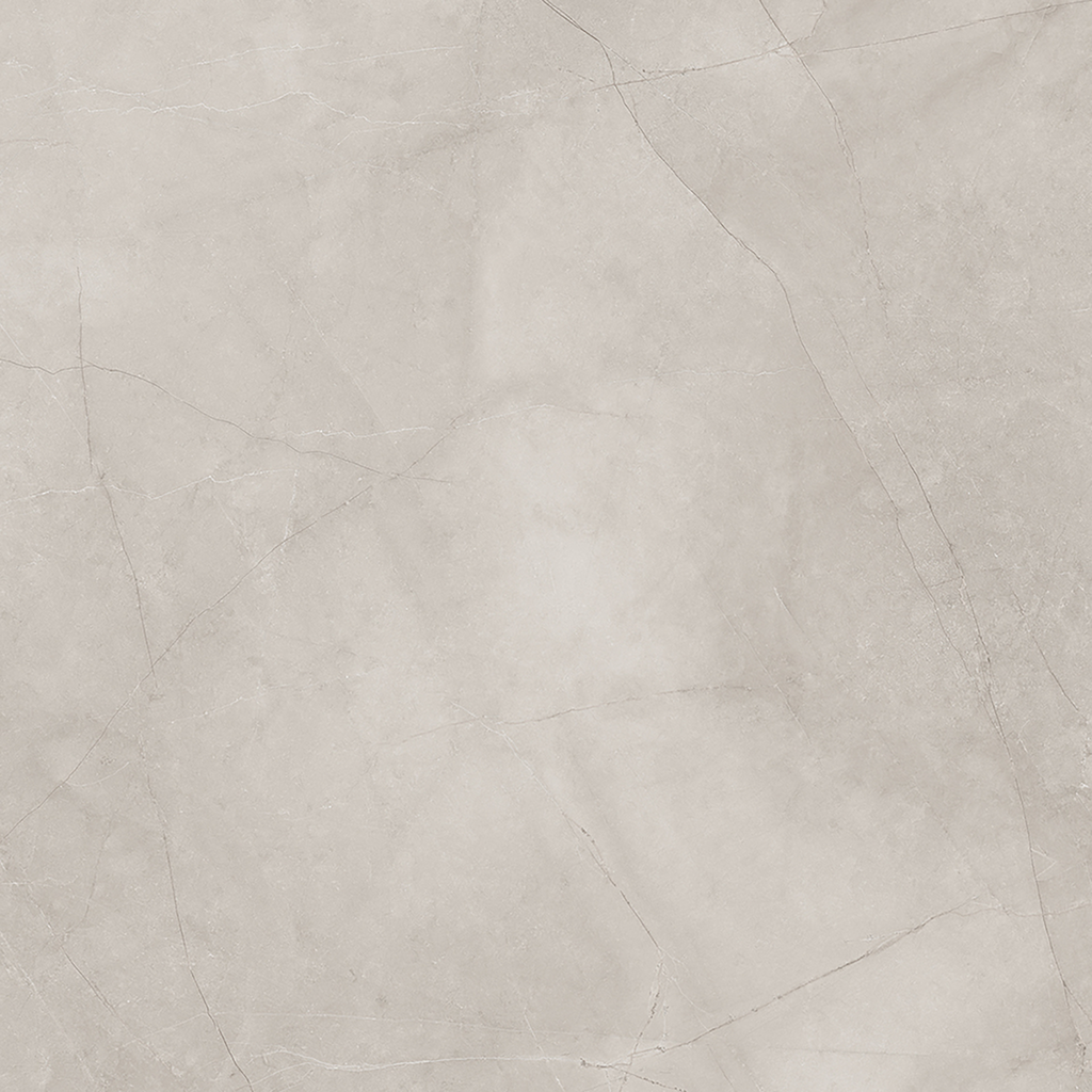 Silver Polished Tile