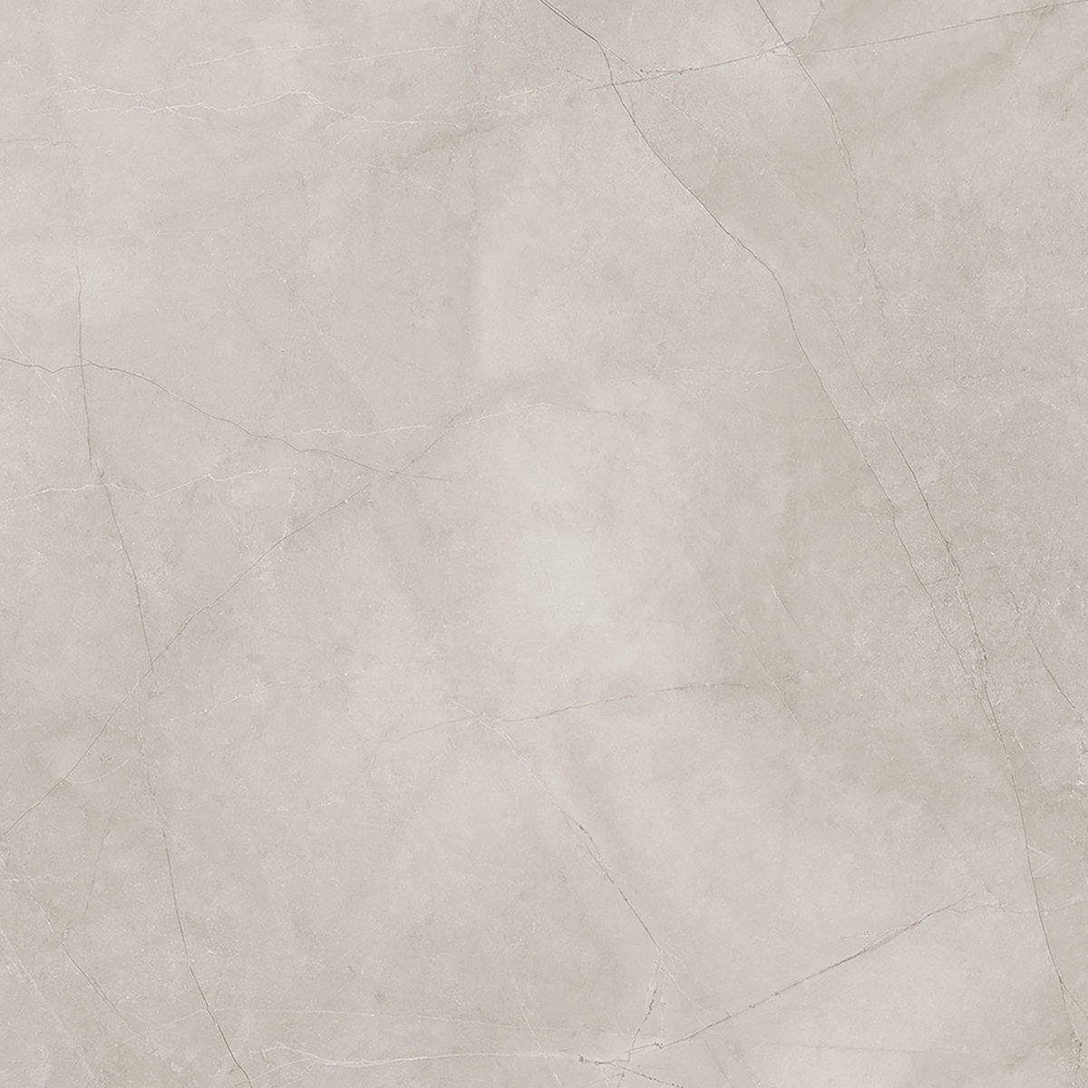 Silver Polished Tile