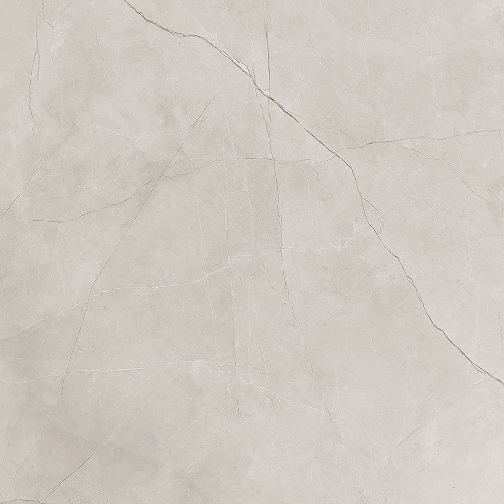 Silver Polished Tile