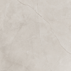 Silver Polished Tile