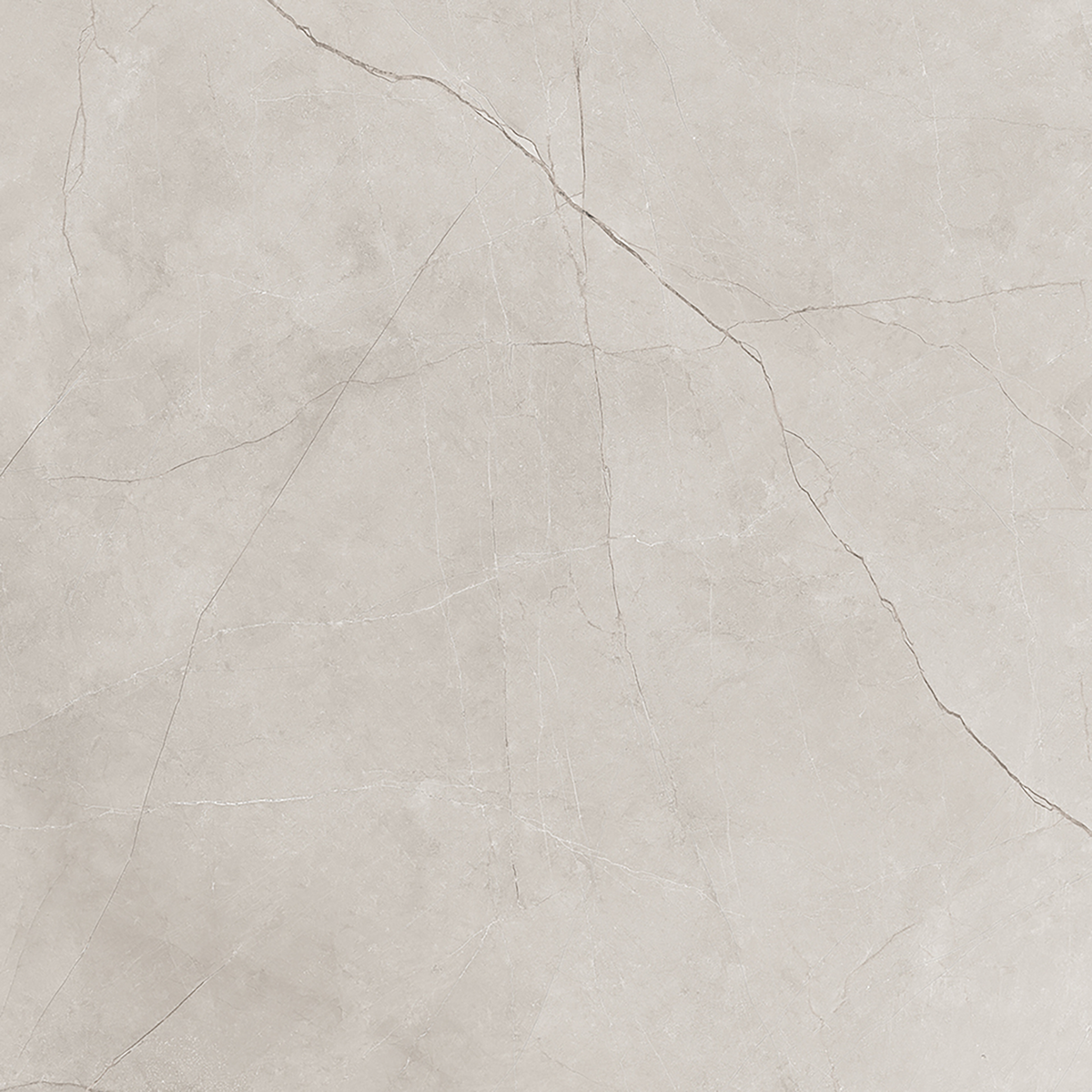 Silver Polished Tile