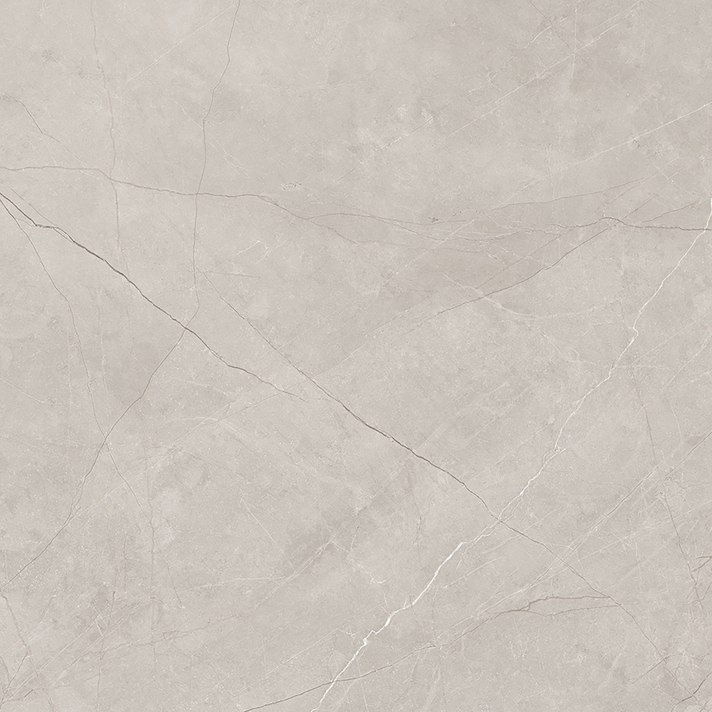 Silver Polished Tile