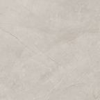 Silver Polished Tile