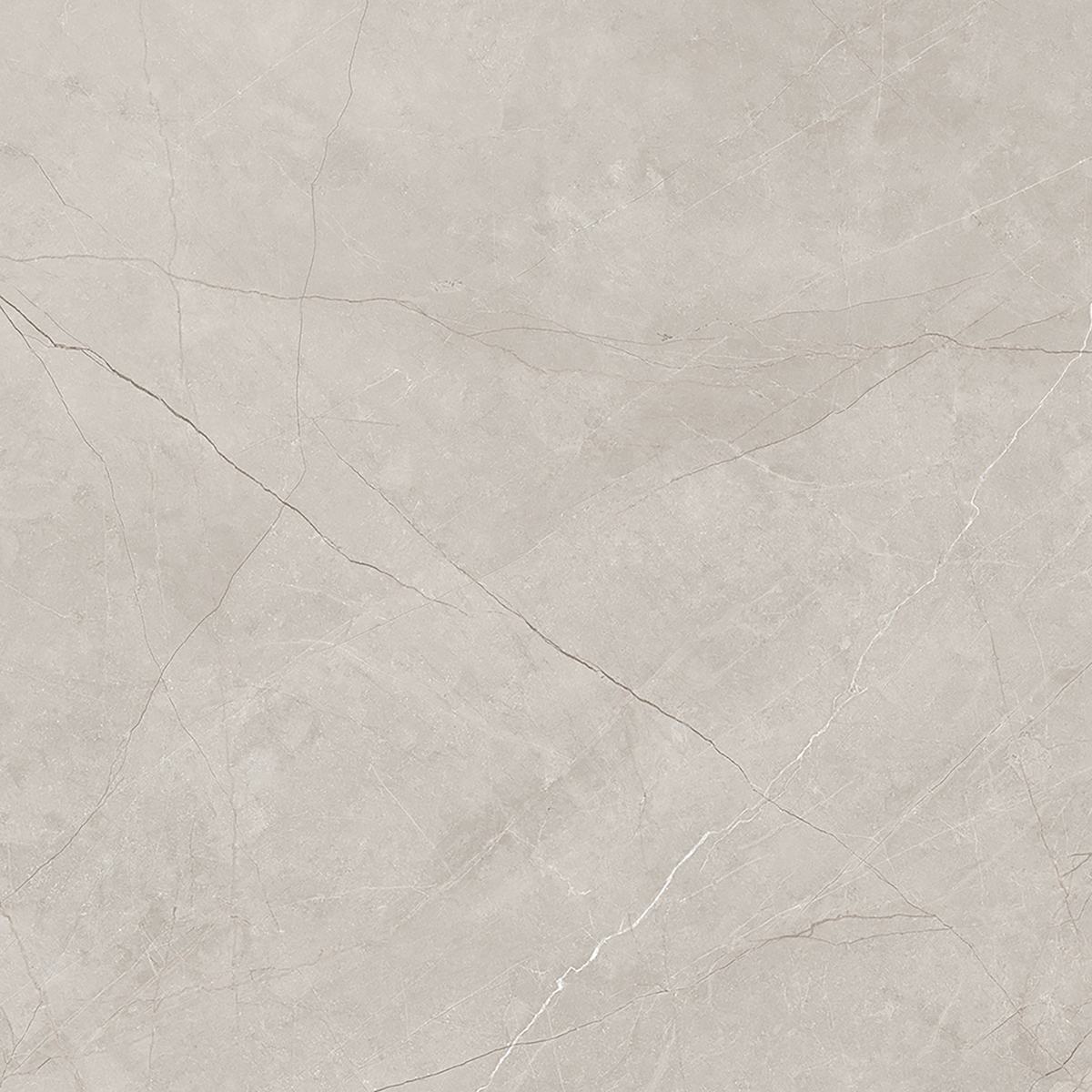 Silver Polished Tile