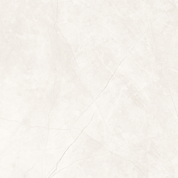 Bianco Polished Tile