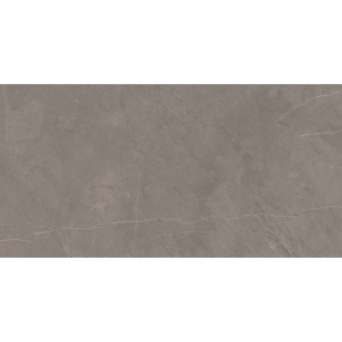 Pulpis Grey Polished Tile