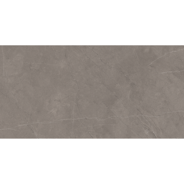Pulpis Grey Polished Tile