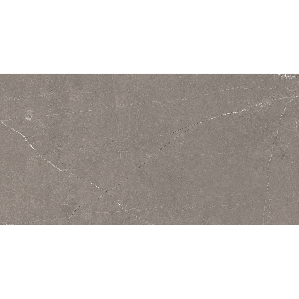 Grey Polished Tile