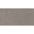 Grey Polished Tile