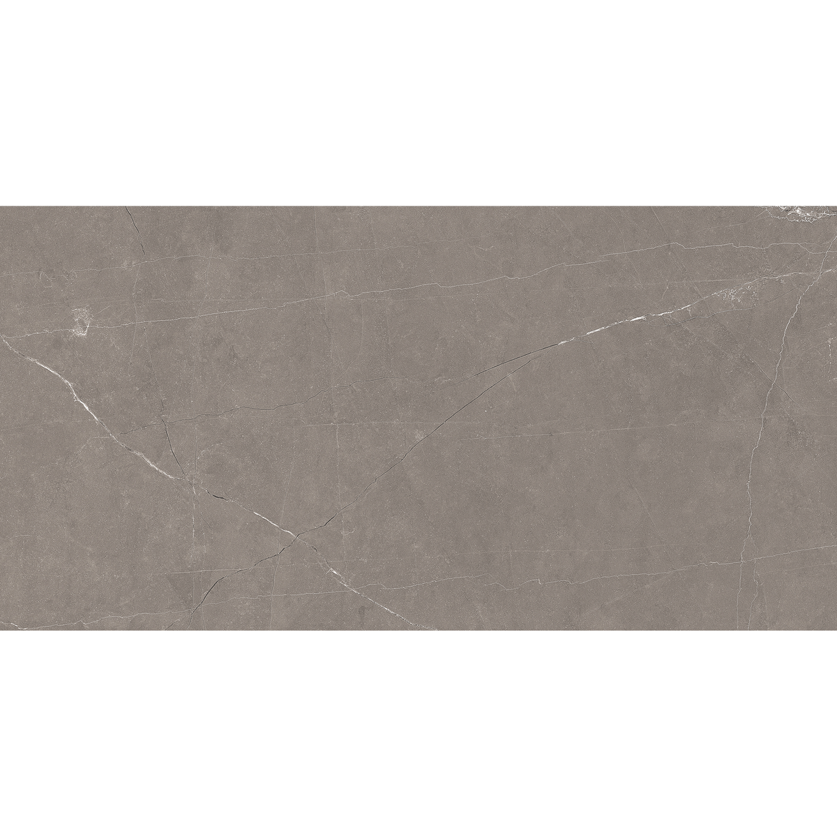 Grey Polished Tile