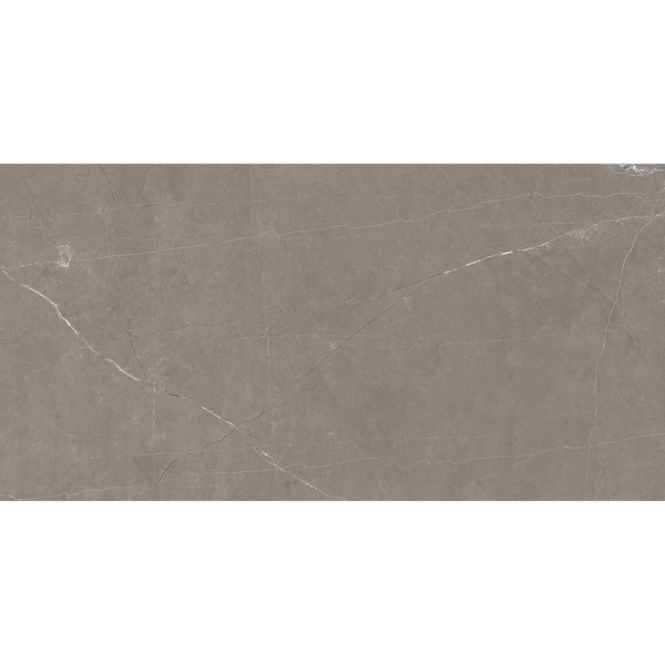Grey Polished Tile