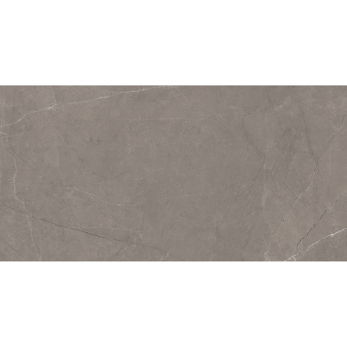 Grey Polished Tile