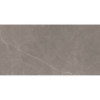 Grey Polished Tile