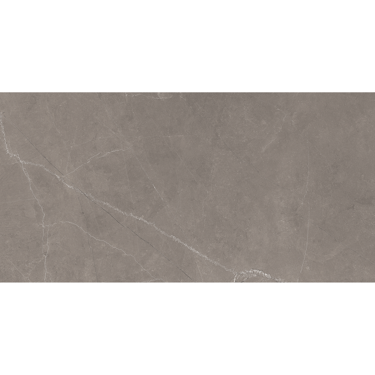 Grey Polished Tile
