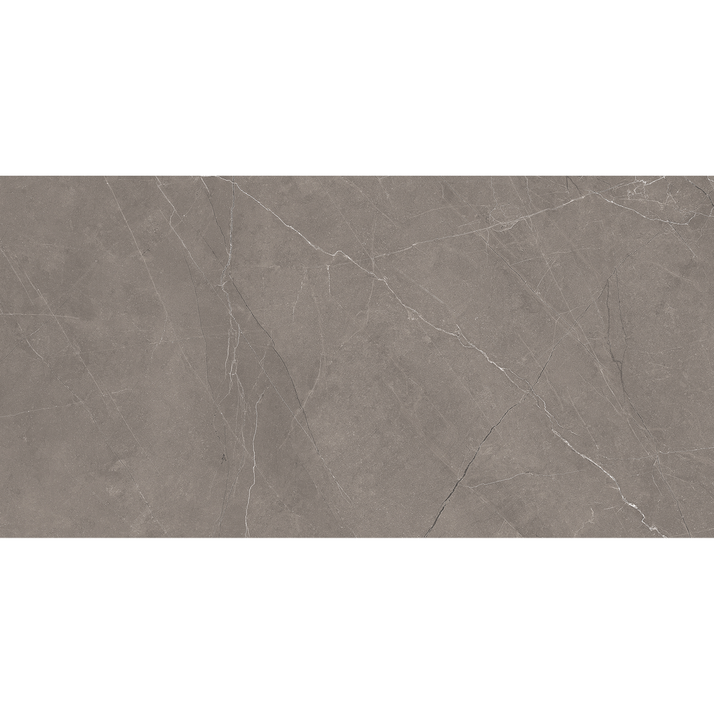 Grey Polished Tile