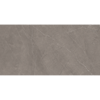 Grey Polished Tile