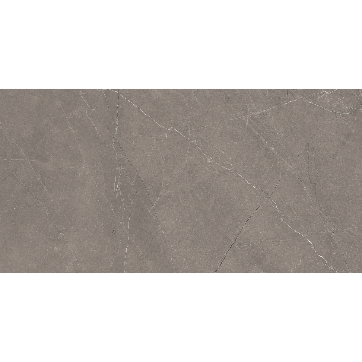 Grey Polished Tile