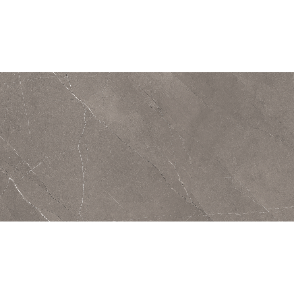 Grey Polished Tile