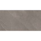 Grey Polished Tile
