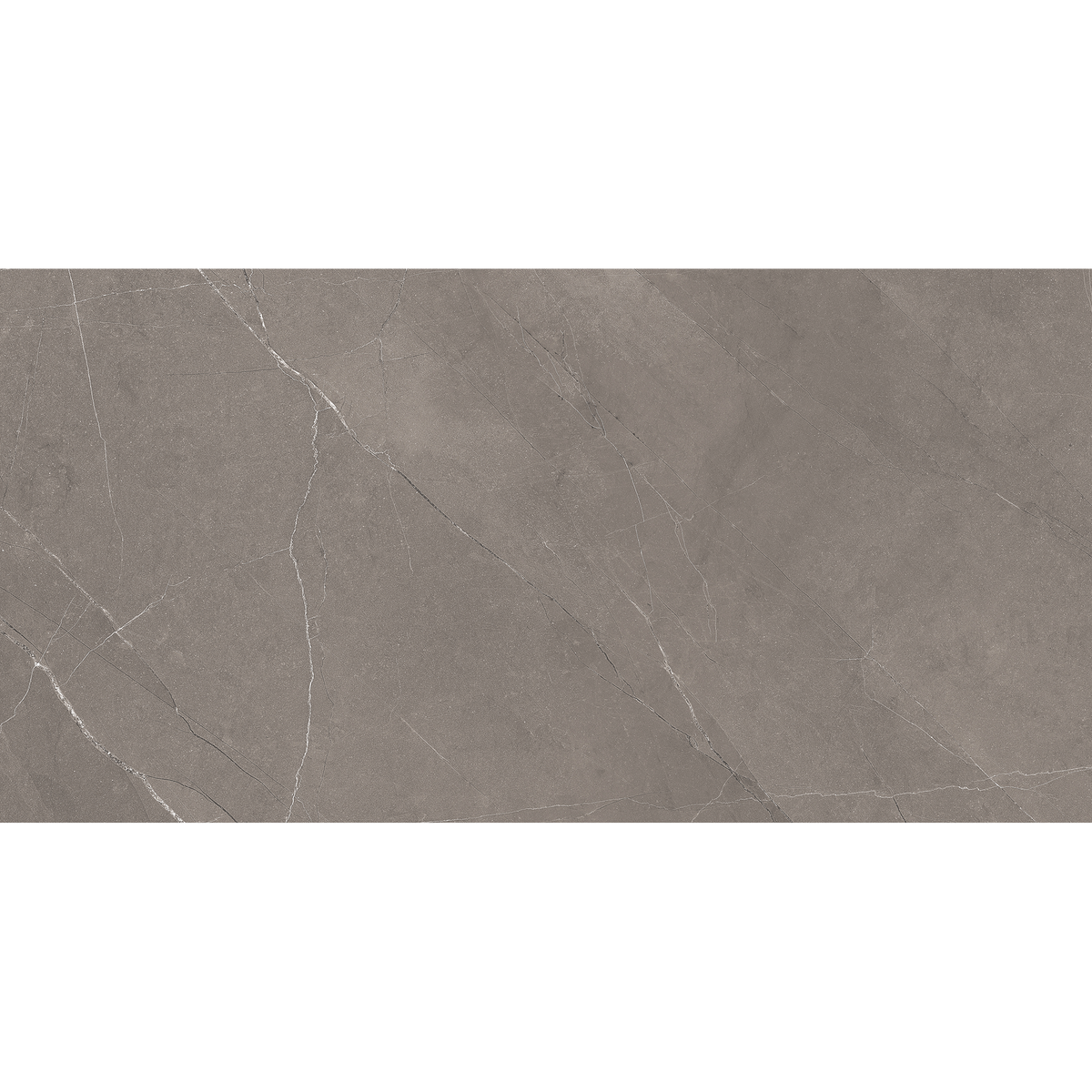 Grey Polished Tile