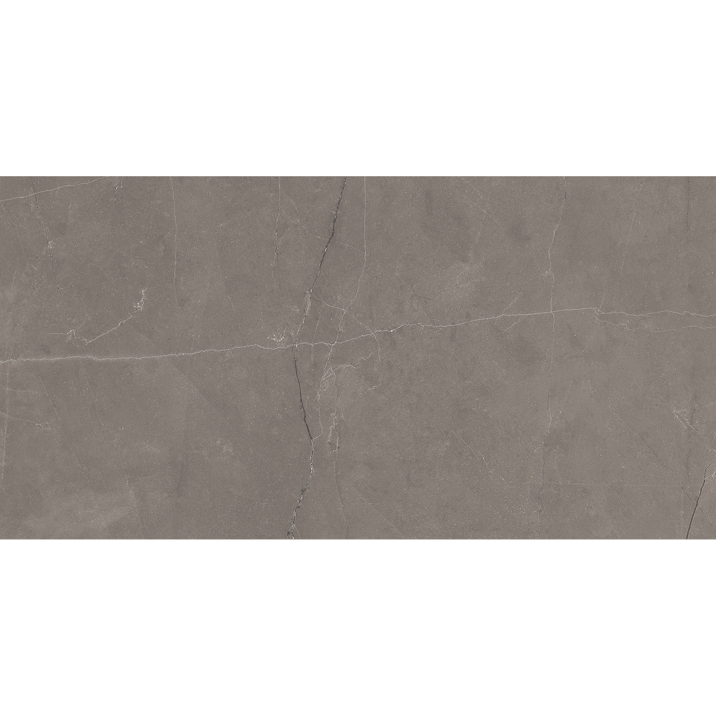 Grey Polished Tile