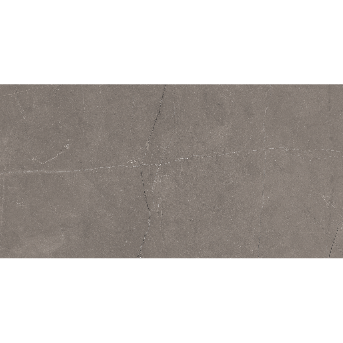 Grey Polished Tile