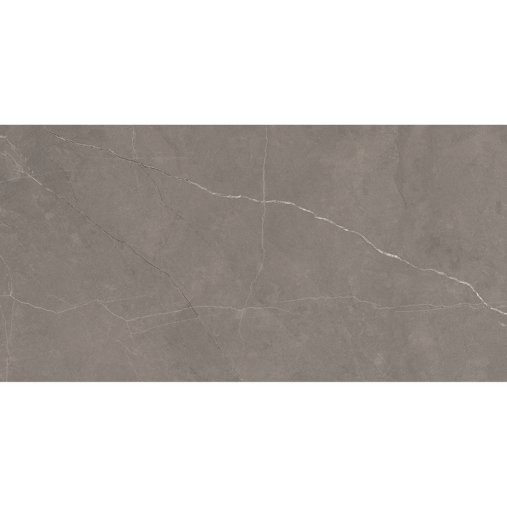 Grey Polished Tile