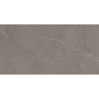 Grey Polished Tile