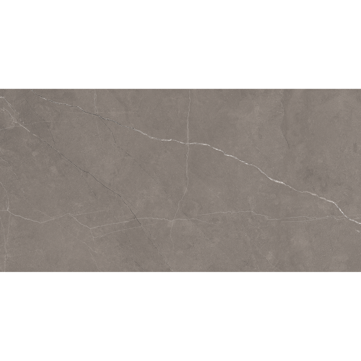 Grey Polished Tile